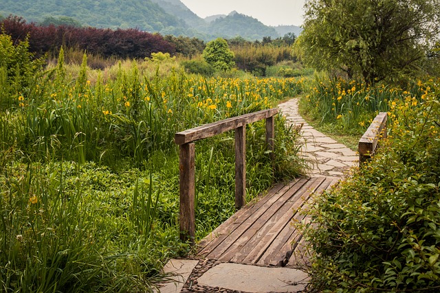 长沙涉外旅游职业中专的招生政策