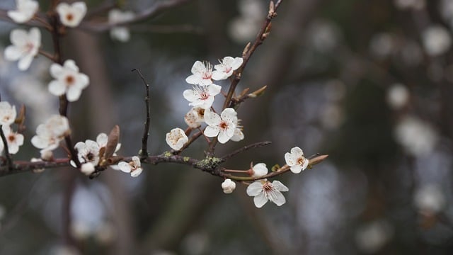 2025年花垣县职业高级中学招生常见问题